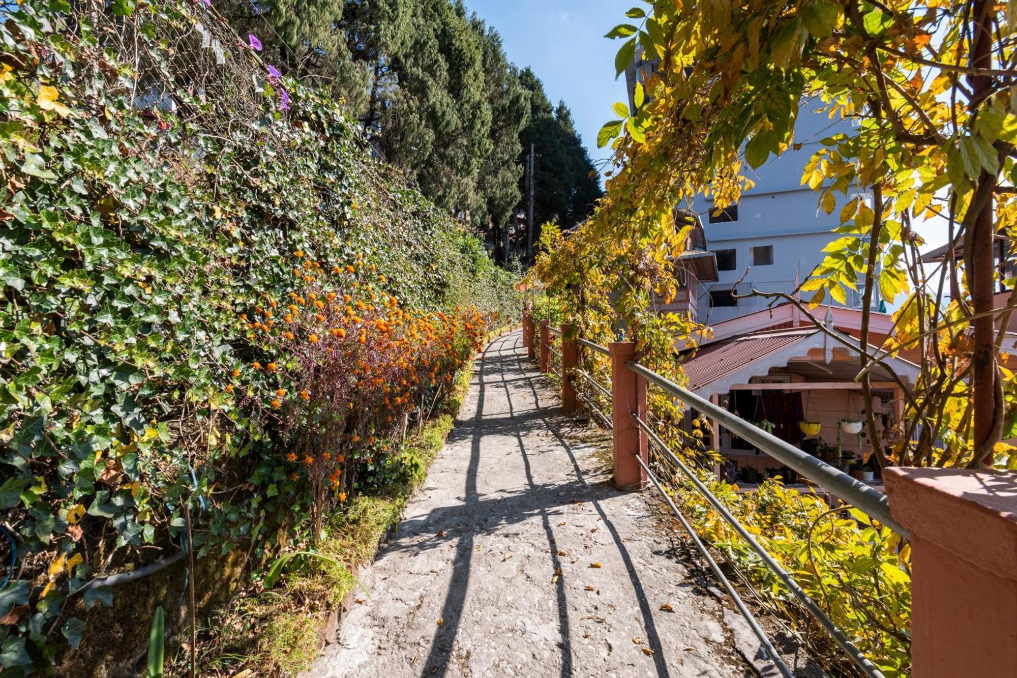 Little Singamari Home Stay Darjeeling  Exterior foto