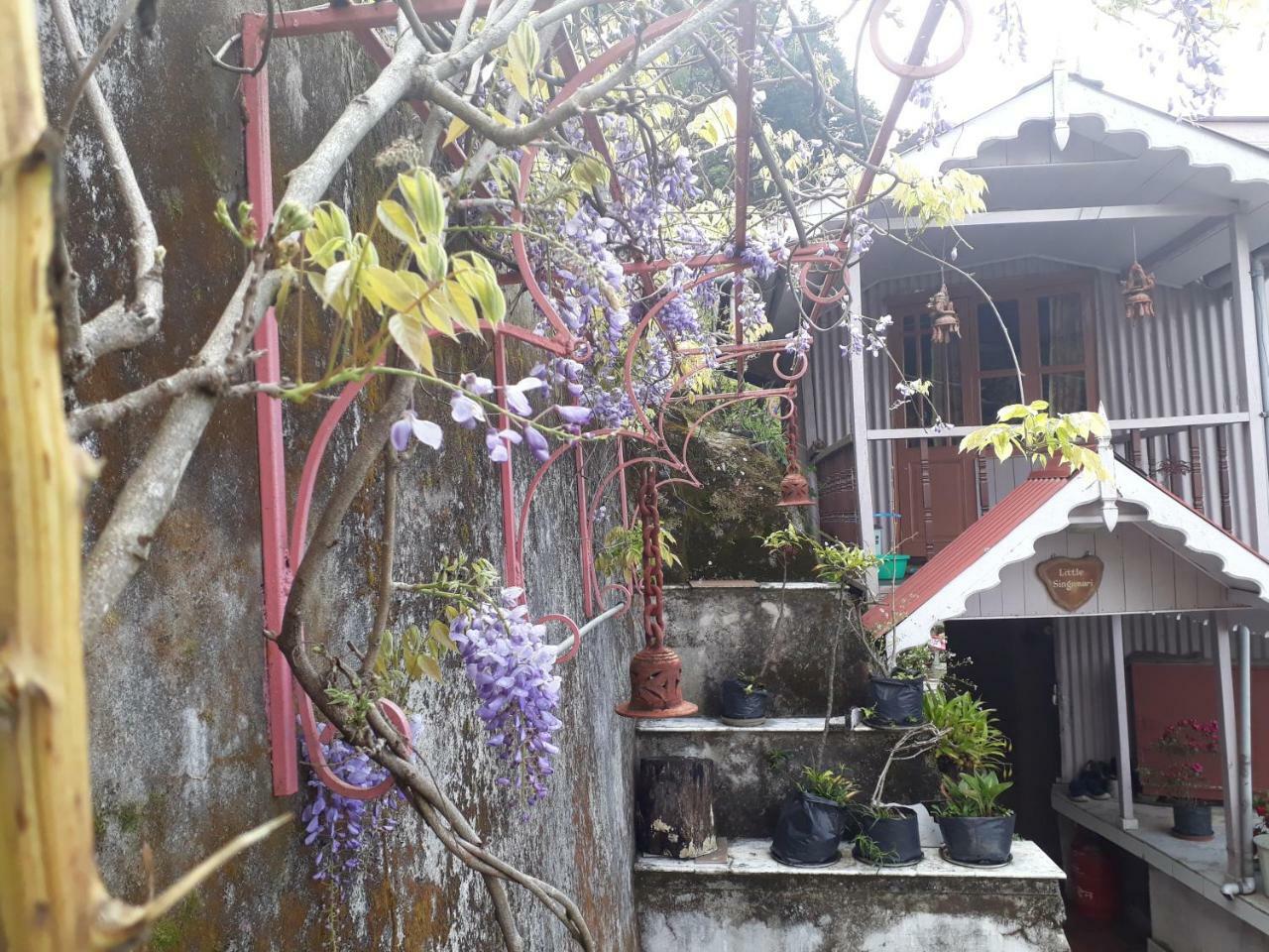 Little Singamari Home Stay Darjeeling  Exterior foto